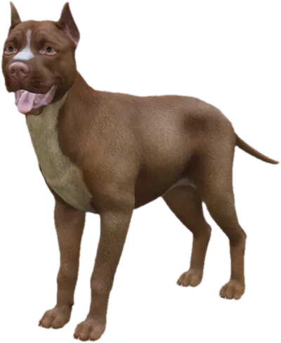 Transparent PNG of the GTA V ped sky_pitbull_3