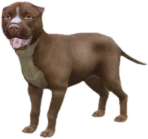 Transparent PNG of the GTA V ped sky_pitbull_puppy_3