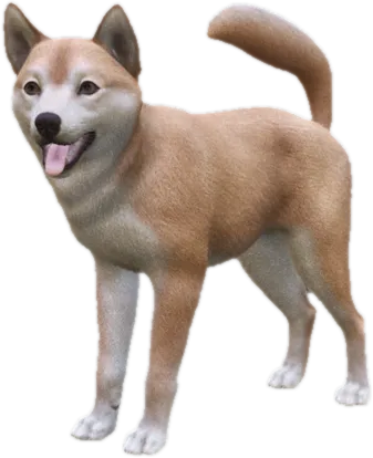 Transparent PNG of the GTA V ped sky_shiba_inu_1