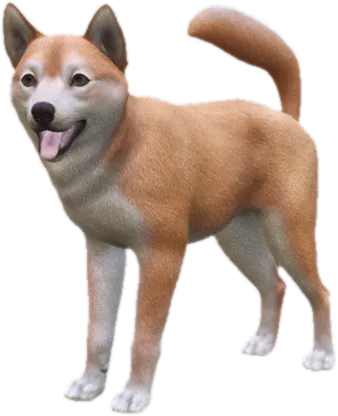 Transparent PNG of the GTA V ped sky_shiba_inu_2