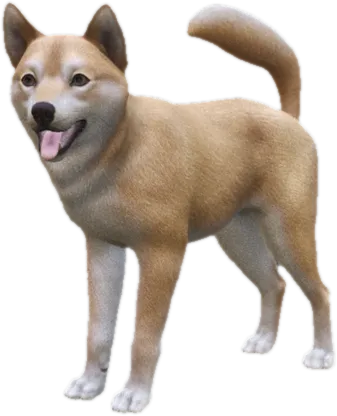 Transparent PNG of the GTA V ped sky_shiba_inu_3