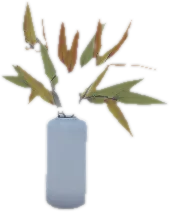 Transparent PNG of the GTA V prop ate_dining1_plant_k