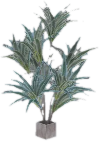 Transparent PNG of the GTA V prop ate_lounge1_plant_b