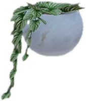 Transparent PNG of the GTA V prop ate_lounge1_plant_g