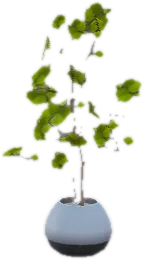 Transparent PNG of the GTA V prop ate_lounge1_plant_m