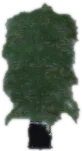 Transparent PNG of the GTA V prop bkr_prop_weed_lrg_01a