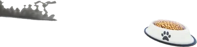 Transparent PNG of the GTA V prop nw_dpp1_bowlfull_6