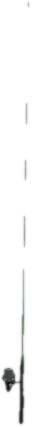 Transparent PNG of the GTA V prop prop_fishing_rod_02