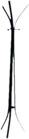 Transparent PNG of the GTA V prop v_ret_hd_hooks_