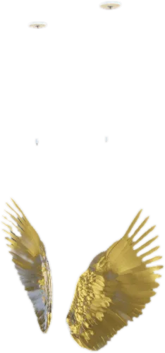 Transparent PNG of the GTA V prop vw_prop_art_wings_01a