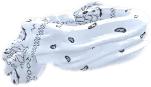 Transparent PNG of the GTA V prop w_ar_g556vvswhite_mag1