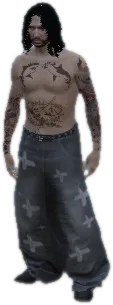 Transparent PNG of the GTA V vehicle 204sbison