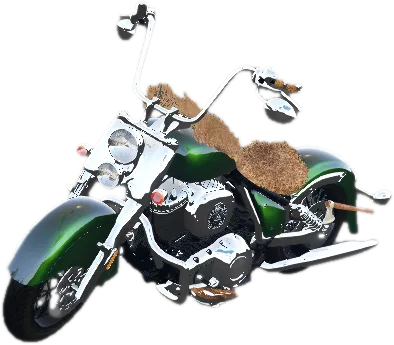Transparent PNG of the GTA V vehicle bearhead