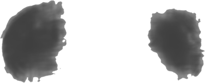 Transparent PNG of the GTA V vehicle polniobe