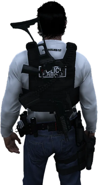 Transparent PNG of the GTA V vehicle prisonvan2