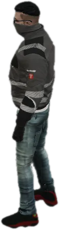 Transparent PNG of the GTA V vehicle rm_swat_t20
