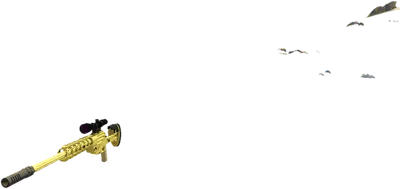 Transparent PNG of the GTA V weapon balista
