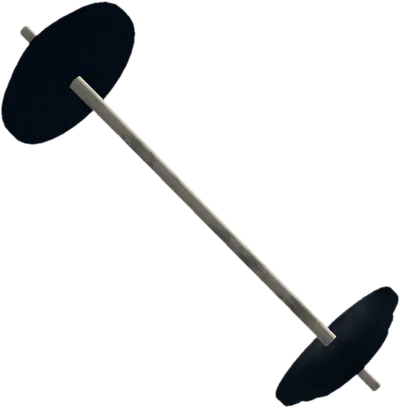 Transparent PNG of the GTA V weapon barbell