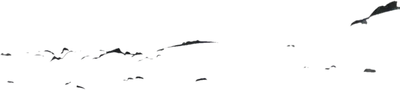 Transparent PNG of the GTA V weapon bat_aethervoltage