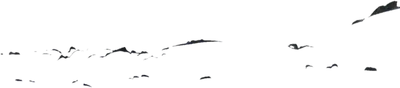 Transparent PNG of the GTA V weapon bat_aquaticbrawl