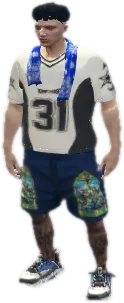Transparent PNG of the GTA V weapon chromaticgrip