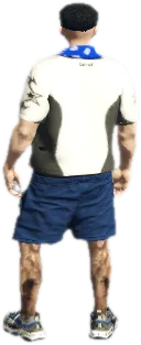 Transparent PNG of the GTA V weapon chromaticmk18