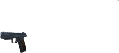Transparent PNG of the GTA V weapon pl14